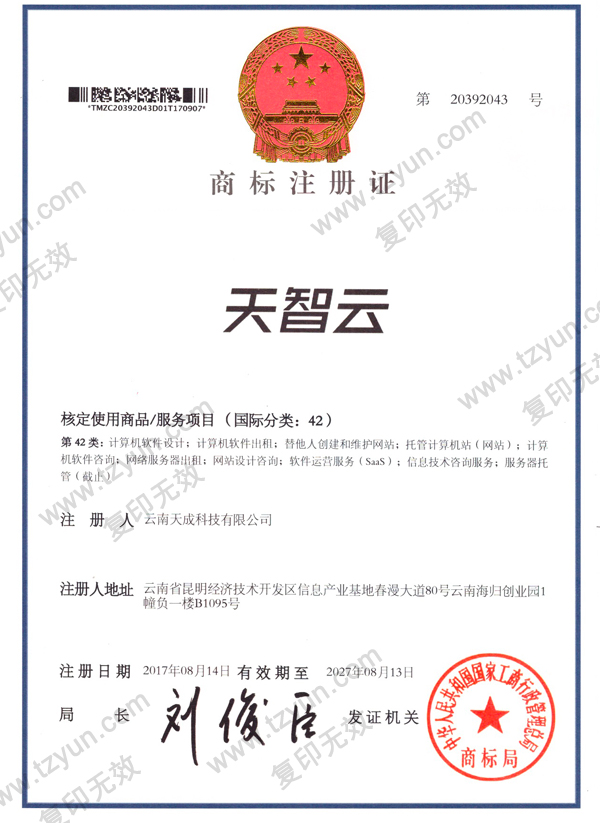 天智云第42类